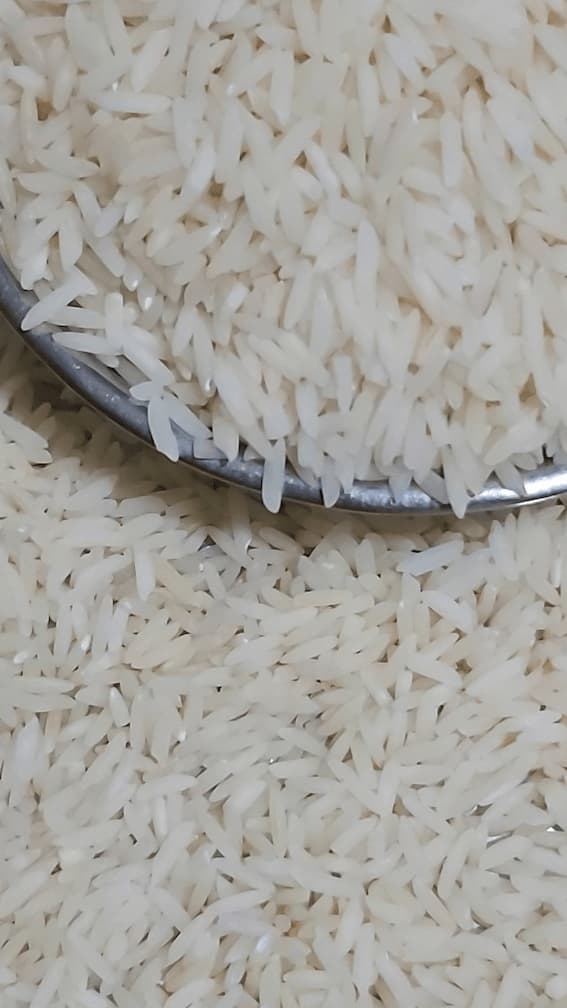 تصویر 1 از خرید قیمت برنج هاشمی